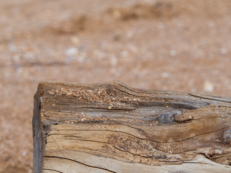 Similar image 21345564