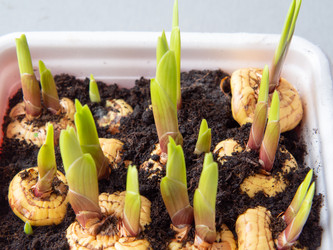 Similar image 21345565