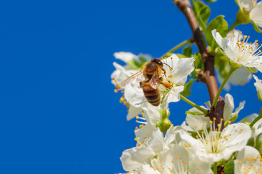 Similar image 21345567