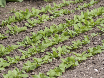 Similar image 21345568