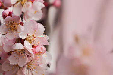 Similar image 21345569