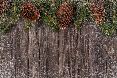 Similar image 21353149