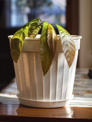 Similar image 21345571