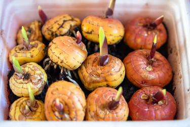 Similar image 21345572