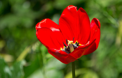 Similar image 21345489