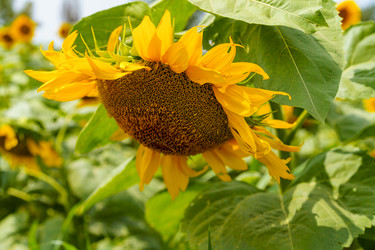 Similar image 21345491