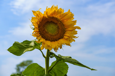 Similar image 21345492