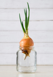 Similar image 21345497