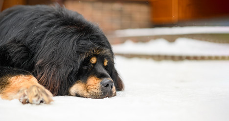 Similar image 21345502