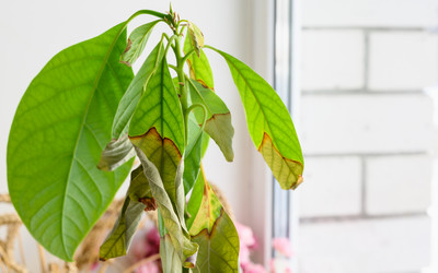 Similar image 21345505