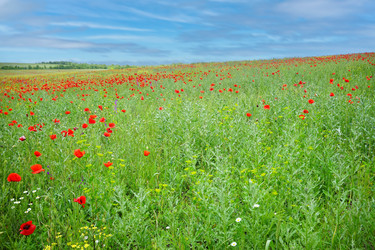 Similar image 21345643