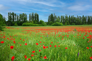 Similar image 21346088