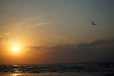 Similar image 21345647