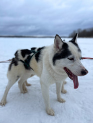 Similar image 21346375