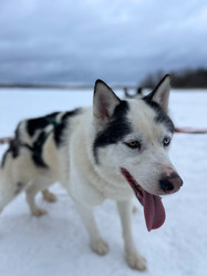 Similar image 21346376