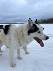 Similar image 21346377