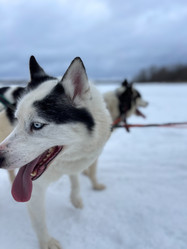 Similar image 21346378