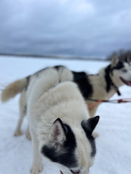 Similar image 21346379