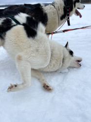 Similar image 21346380