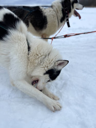 Similar image 21346381