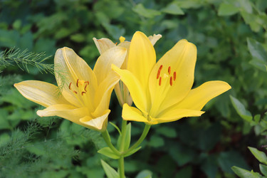 Similar image 21347627