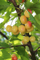 Similar image 21347628