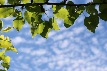 Similar image 21347629