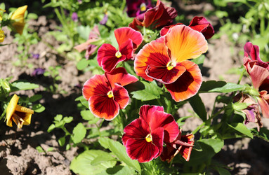 Similar image 21347631