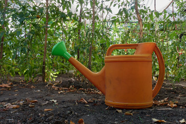 Similar image 21345667