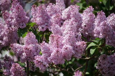 Similar image 21345670