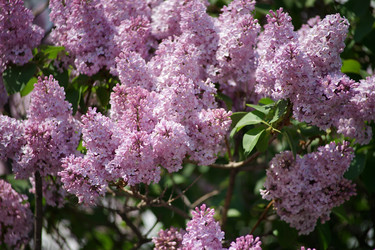 Similar image 21345671