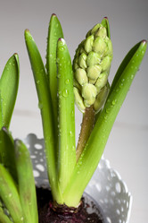 Similar image 21346030