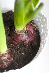 Similar image 21346031