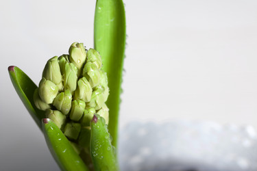 Similar image 21346032