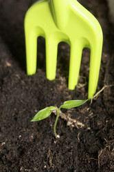 Similar image 21346033