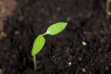 Similar image 21346035