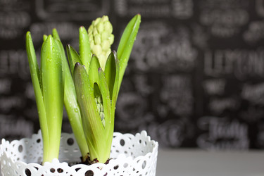 Similar image 21346038