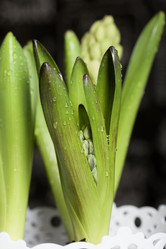 Similar image 21346040