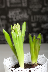 Similar image 21346042