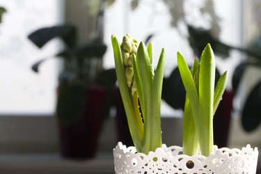 Similar image 21346043