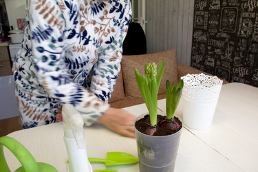 Similar image 21346046