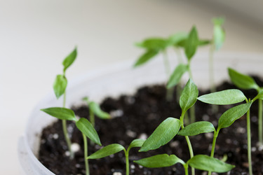 Similar image 21346048