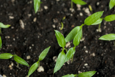 Similar image 21346049