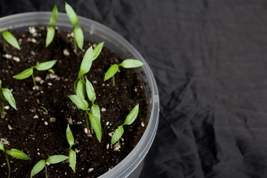 Similar image 21346052