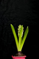 Similar image 21346053