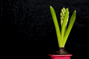 Similar image 21346054