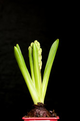 Similar image 21346059