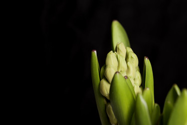 Similar image 21346060