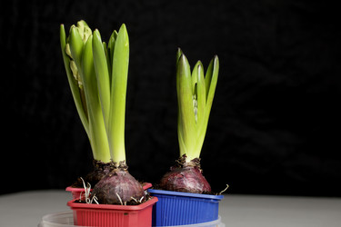 Similar image 21346061