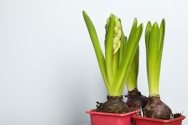 Similar image 21346063